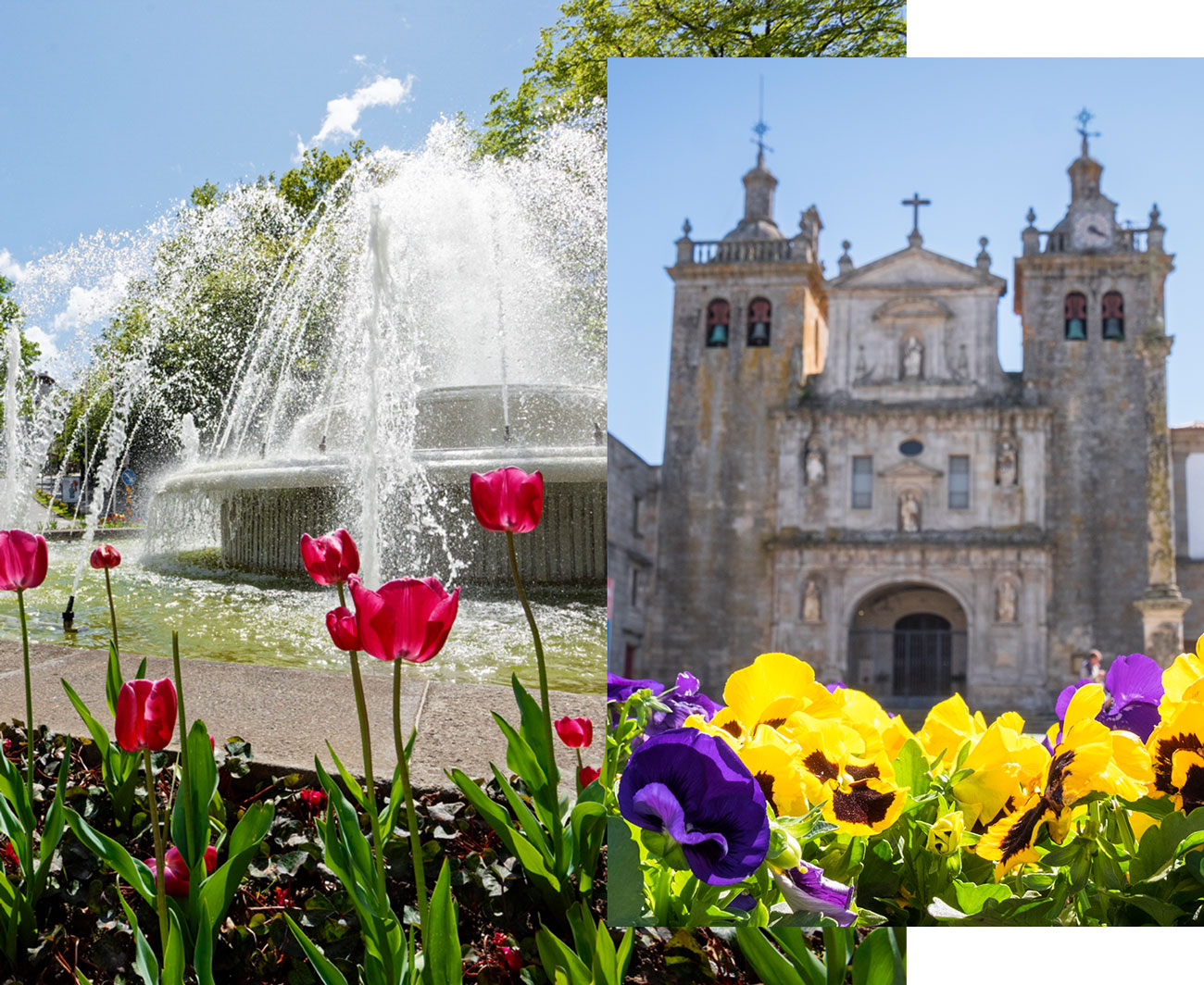 Viseu, cidade Jardim